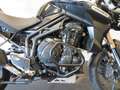 Triumph Tiger Explorer 1215 KOFFERS EXTRA'S Negru - thumbnail 5