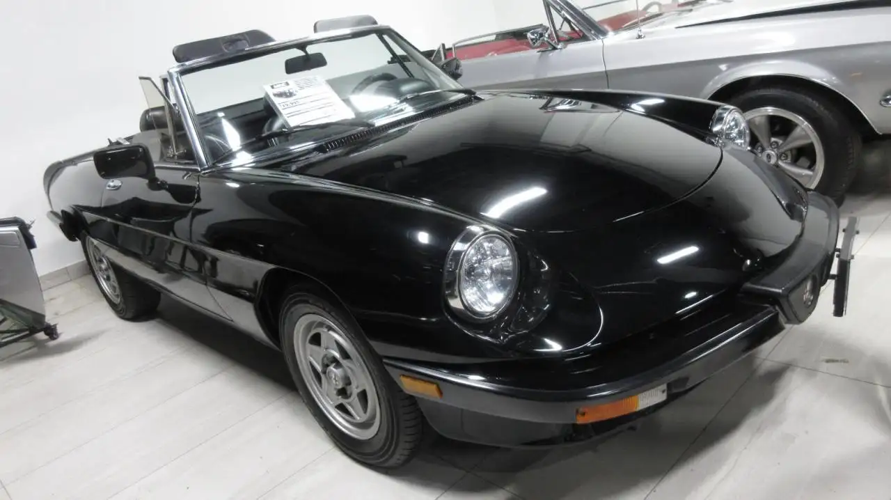 1988 Alfa Romeo Spider