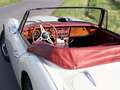 Austin-Healey MK III Weiß - thumbnail 3