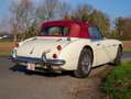 Austin-Healey MK III Weiß - thumbnail 7