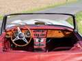 Austin-Healey MK III Weiß - thumbnail 5