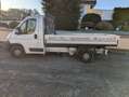 Fiat Ducato 115 (Rs: 3450 mm) Weiß - thumbnail 2