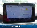 Ford Kuga Plug-In Hybrid Titanium X WINTER-PAKET|AHK|FAHRERA Schwarz - thumbnail 13