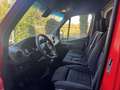 Mercedes-Benz Sprinter KM CERTIFICATI - UNICOPROPIETARIO Rosso - thumbnail 6
