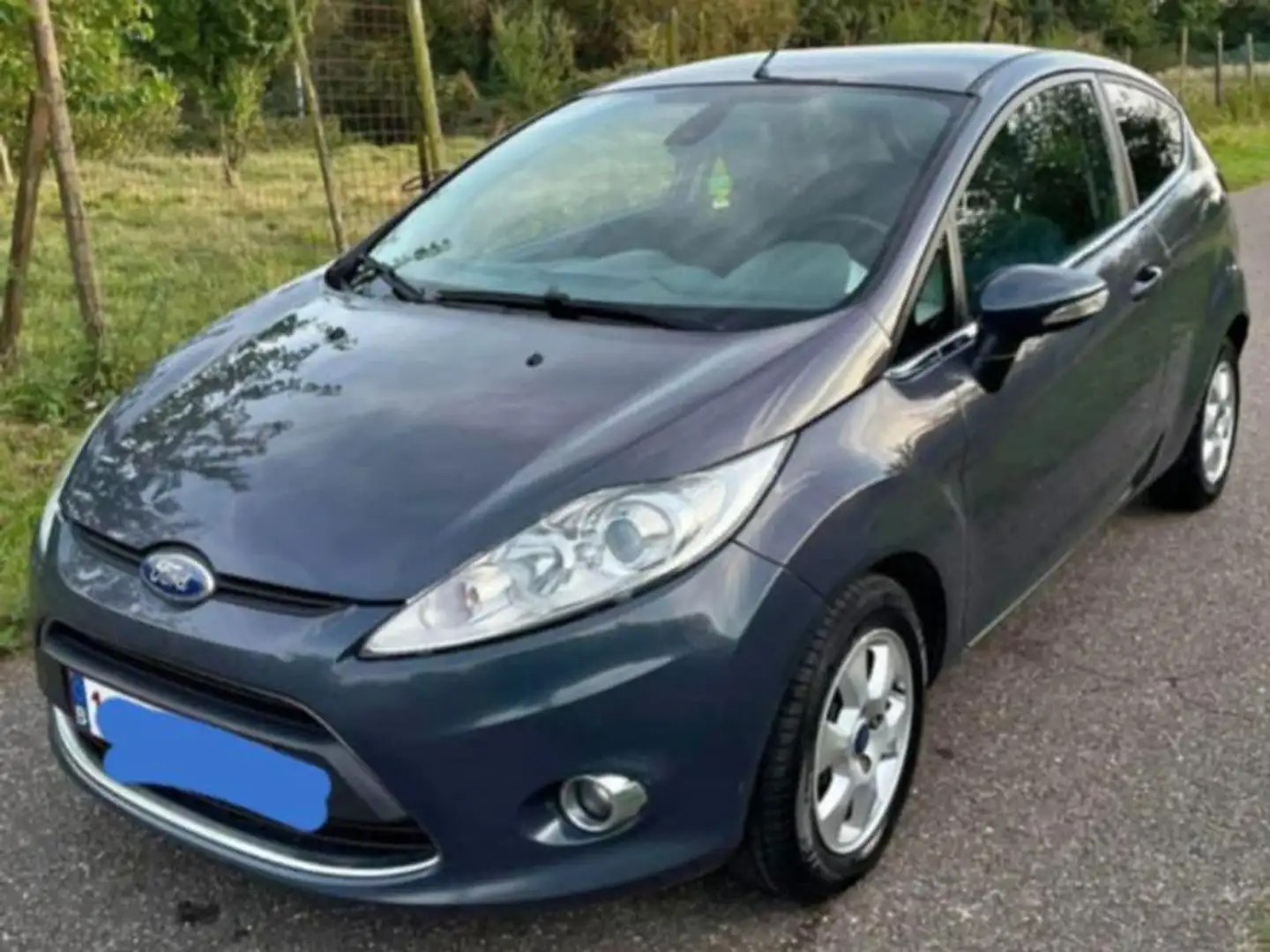 Ford Fiesta Fiesta 1.6 TDCi Trend ECOnetic DPF Bleu - 1