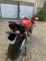 Honda CBR 600 RR - thumbnail 3