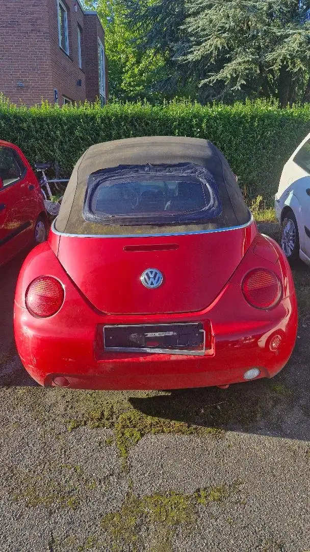 Volkswagen New Beetle New Beetle Cabriolet 1.6 (defekt, für Bastler) Червоний - 1