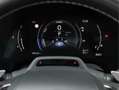Lexus RX 500h F Sport Line - Panoramadak - ACC - Head-up - 360 C Braun - thumbnail 40