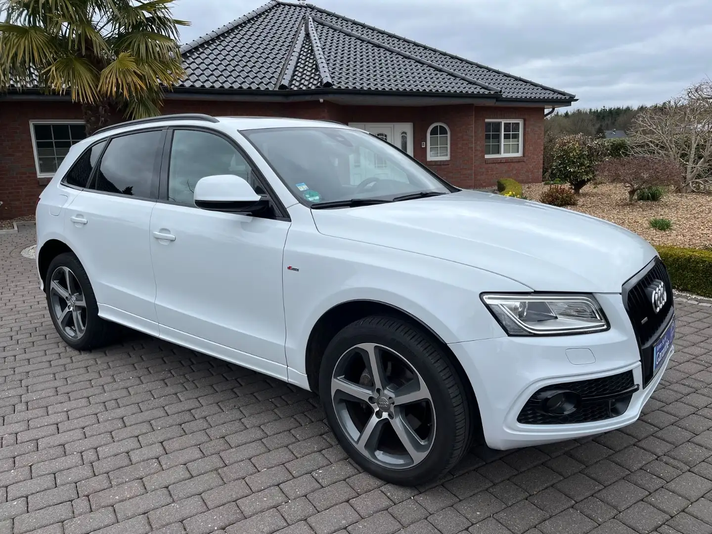 Audi Q5 2.0 TDI  quattro S line ((20"+ACC+Pano+AHK)) Weiß - 1