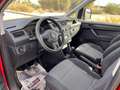 Volkswagen Caddy 2.0 TDI 102 CV Kombi Business Rosso - thumbnail 10