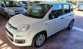Fiat Panda 1.0 FireFly S&S Hybrid Blanc - thumbnail 1