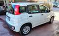 Fiat Panda 1.0 FireFly S&S Hybrid Blanc - thumbnail 4