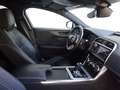 Jaguar XE P300 AWD R-Dynamic SE  ACC TotwAss VzAss Ledr LED Plateado - thumbnail 11