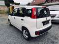 Fiat Panda More, Scheckheft, Klima, 8 fach, top Weiß - thumbnail 8