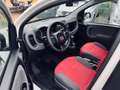 Fiat Panda More, Scheckheft, Klima, 8 fach, top Weiß - thumbnail 10