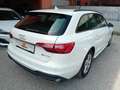 Audi A4 30 TDI Avant Aut. * ACC, R-Kamera, usw..* Weiß - thumbnail 5