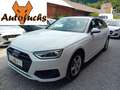 Audi A4 30 TDI Avant Aut. * ACC, R-Kamera, usw..* Weiß - thumbnail 1