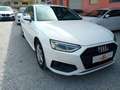 Audi A4 30 TDI Avant Aut. * ACC, R-Kamera, usw..* Weiß - thumbnail 6