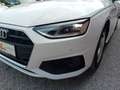 Audi A4 30 TDI Avant Aut. * ACC, R-Kamera, usw..* Weiß - thumbnail 8