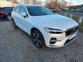 Volvo XC60 Plus Bright T6 Plug-In Hybrid AWD Weiß - thumbnail 2