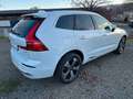Volvo XC60 Plus Bright T6 Plug-In Hybrid AWD Weiß - thumbnail 3