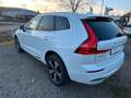 Volvo XC60 Plus Bright T6 Plug-In Hybrid AWD Weiß - thumbnail 7