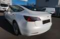 Tesla Model 3 Long Range Dual AWD # AHK # incl.19% VAT Weiß - thumbnail 2