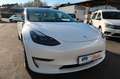 Tesla Model 3 Long Range Dual AWD # AHK # incl.19% VAT Weiß - thumbnail 4