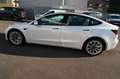 Tesla Model 3 Long Range Dual AWD # AHK # incl.19% VAT Weiß - thumbnail 3