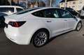 Tesla Model 3 Long Range Dual AWD # AHK # incl.19% VAT Weiß - thumbnail 6