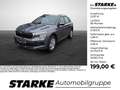 Skoda Kamiq 1.0 TSI DSG Selection Gris - thumbnail 1