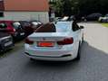 BMW 430 430i Coupe Sport Line Aut. Sport Line Weiß - thumbnail 7