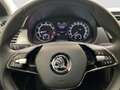 Skoda Fabia 1.0 TSI DSG Clever Kamera ACC PDC Klima Blau - thumbnail 9