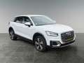 Audi Q2 2.0 Quattro-Navi-PDC-Automatik Blanc - thumbnail 8
