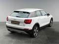 Audi Q2 2.0 Quattro-Navi-PDC-Automatik Blanc - thumbnail 6