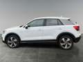 Audi Q2 2.0 Quattro-Navi-PDC-Automatik Blanc - thumbnail 3