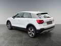 Audi Q2 2.0 Quattro-Navi-PDC-Automatik Blanc - thumbnail 4