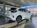 Ford Puma ST-Line 1.0 NAVI LED GRA SHZG PDC DIGITALTACH Weiß - thumbnail 5