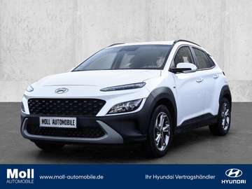 Trend Mild-Hybrid 2WD 1.0 T-GDI EU6d Navi Soundsys