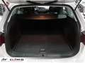 Volkswagen Golf Variant VII 2.0TDI BMT Pano Kamera Weiß - thumbnail 22