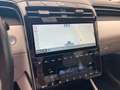 Hyundai TUCSON 1.6 CRDi Prime Mild-Hybrid 4WD Assistenz Azul - thumbnail 9