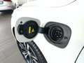 Volvo XC60 T6 AWD Recharge Inscription Exp. Tetto Fari LED Bianco - thumbnail 30