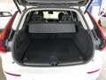Volvo XC60 T6 AWD Recharge Inscription Exp. Tetto Fari LED Bianco - thumbnail 45