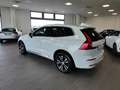Volvo XC60 T6 AWD Recharge Inscription Exp. Tetto Fari LED Wit - thumbnail 9