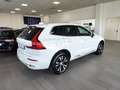 Volvo XC60 T6 AWD Recharge Inscription Exp. Tetto Fari LED Wit - thumbnail 8