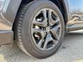 Toyota RAV 4 RAV4 2,5 Hybrid Adventure AWD Grau - thumbnail 3