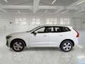 Volvo XC60 B4 D automatico Momentum Pro - thumbnail 5