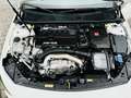 Mercedes-Benz A 35 AMG 4M, 360°, Winter-Pack., Totw., Multibeam, AHK, PTS Weiß - thumbnail 23