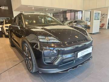 Macan II 2024 4