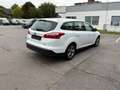 Ford Focus Sync Edition Weiß - thumbnail 8